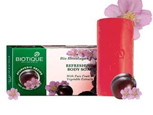 Biotique Himalayan Plum Soap
