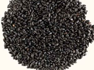 My Healthy Munch – Basil Seeds