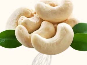 My Healthy Munch – Premium Cashew Nuts