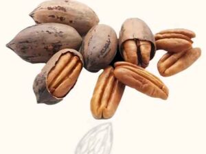 My Healthy Munch – Pecan Nuts