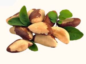My Healthy Munch  – Brazil Nuts