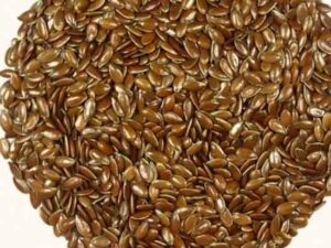 My Healthy Munch – Flax Seeds