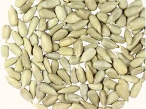 My Healthy Munch – Sunflower Seeds