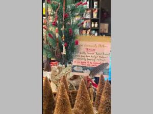 Tengin coconut Based Product 1