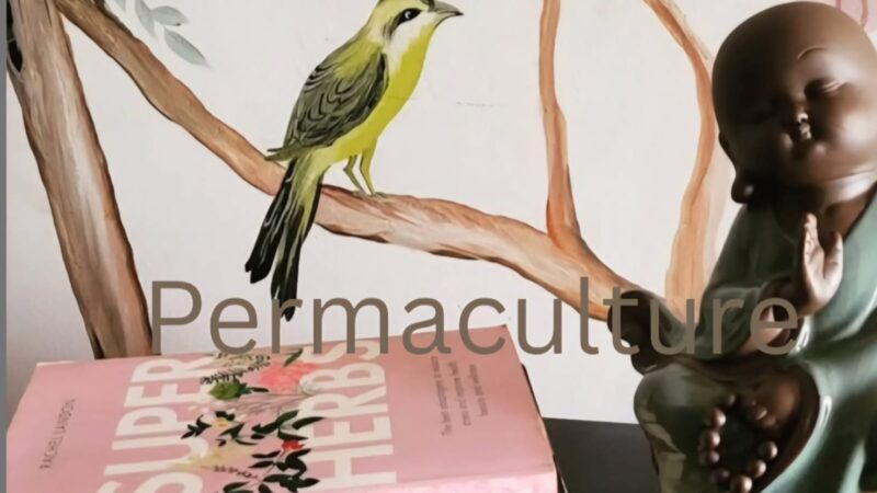 What is PERMACULTURE ?