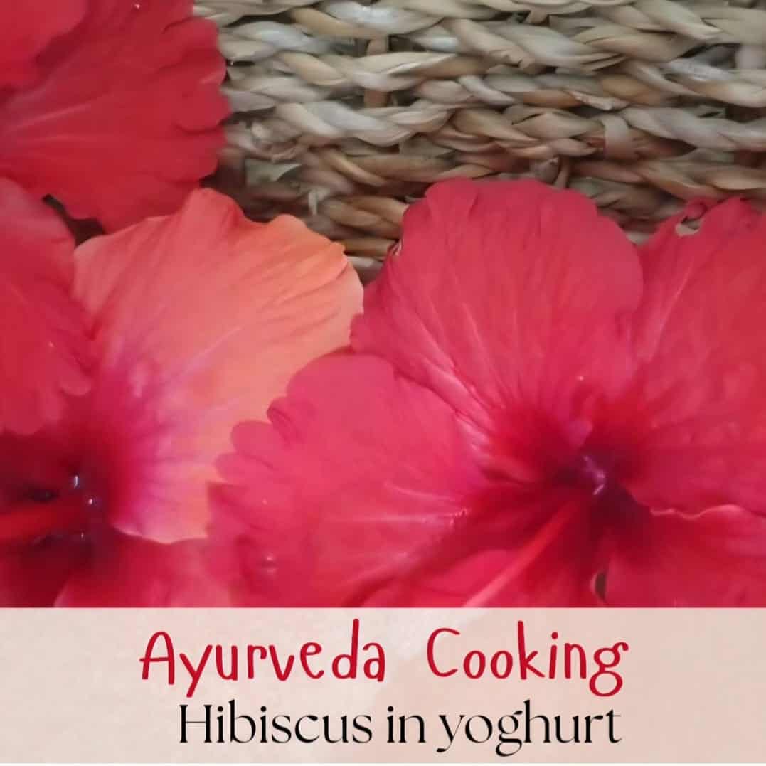 You are currently viewing Hibiscus🌺 in Yogurt